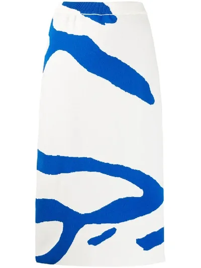 Christian Wijnants Kalina Zebra Stripe Skirt In White