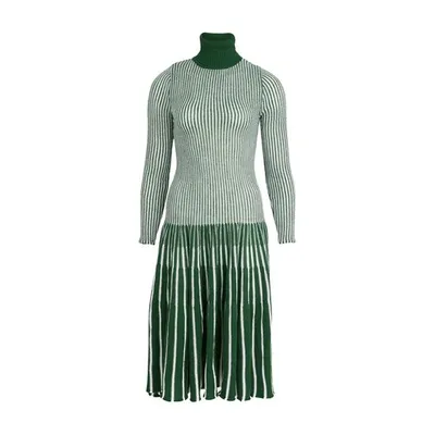 Thebe Magugu Roll-neck Striped Wool Dress In Green Cream