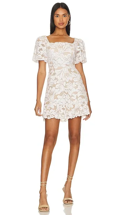 Bcbgmaxazria Lace Short Evening Dress In Natural