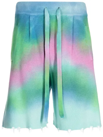 Laneus Bermuda Shorts In Multicolor