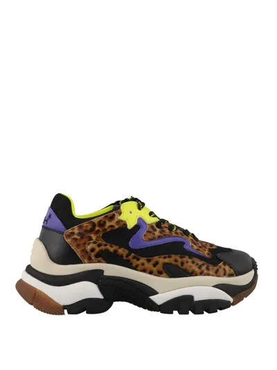 Ash Addict Leo Print Calf Hair Sneakers In Multicolor