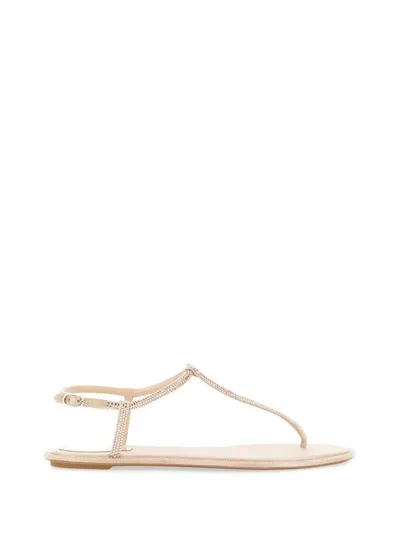 René Caovilla Beige Diana Low Jewel Sandal In Brown