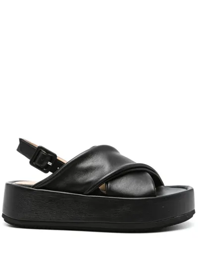 Paloma Barceló Basima Platform Sandals In Black