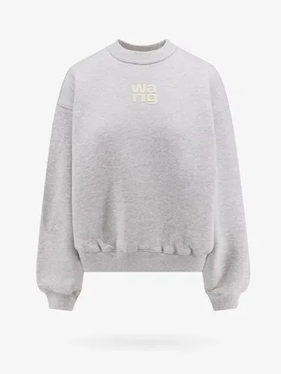 Alexander Wang T Purple Printed Sweatshirt In Grey