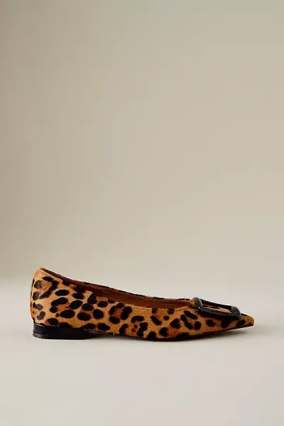 Bibi Lou Poznan Leopard Flats In Brown