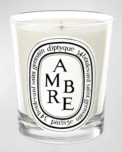 Diptyque Ambre (amber) Scented Candle, 6.5 Oz. In Multi