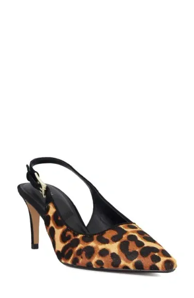 Dune London Closed Genuine Calf Hair Slingback Pointed Toe Pump In Leopard Calf Hair