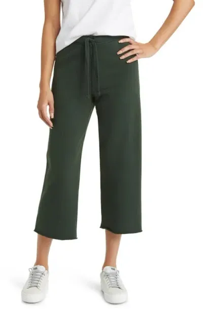 Frank & Eileen Catherine - Favorite Sweatpants In Green