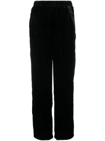 Gold Hawk Velvet Wide Leg Trousers In Black