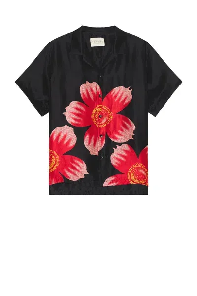 Harago Floral Printed Shirt In Black