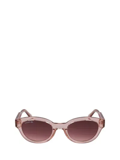 Lacoste Sunglasses In Pink