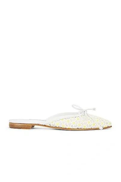 Manolo Blahnik Ballerimu Lace Flat In White