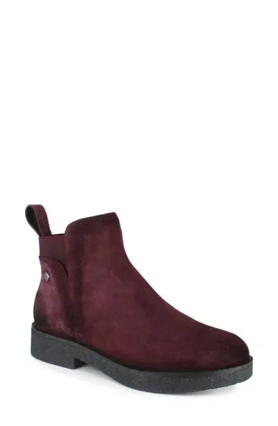 National Comfort Evita Bootie In Burgundy Suede