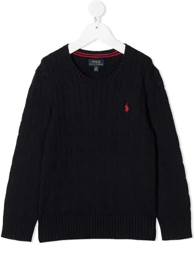 Polo Ralph Lauren Maglioncino  Kids In Cotone Bl In Blu