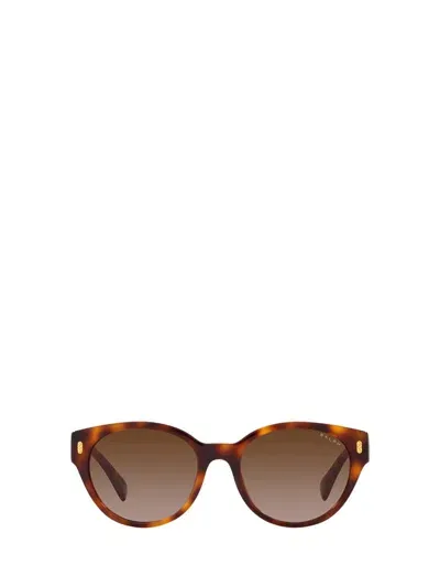 Ralph Lauren Sunglasses In Shiny Havana