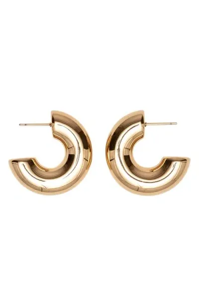 St. Moran Chunky Hoop Earrings In Gold