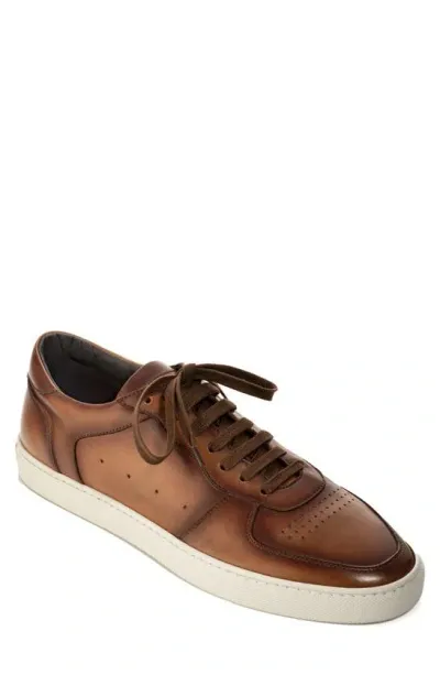 To Boot New York Barbera Sneaker In Cognac