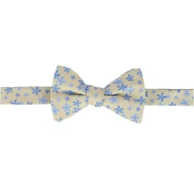 Trafalgar Weldon Floral Silk Novelty Bow Tie In Multi