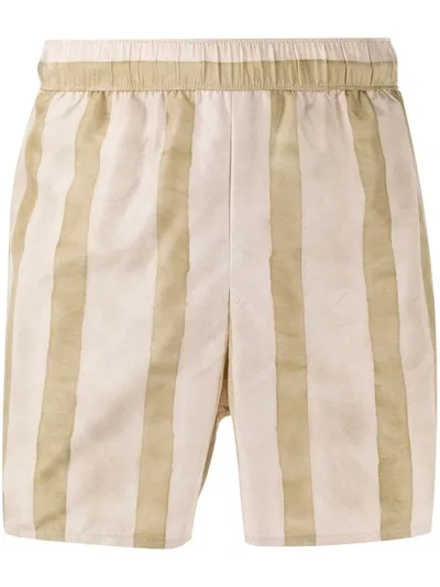 Acne Studios Striped Swim Shorts In Neutrals