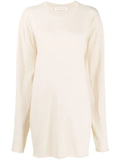 Extreme Cashmere Loose-fit Jumper In Neutrals