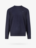 Polo Ralph Lauren Sweater In Blue