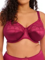 Elomi 'cate' Underwire Bra In Berry